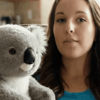 Koaly Comfort Companion
