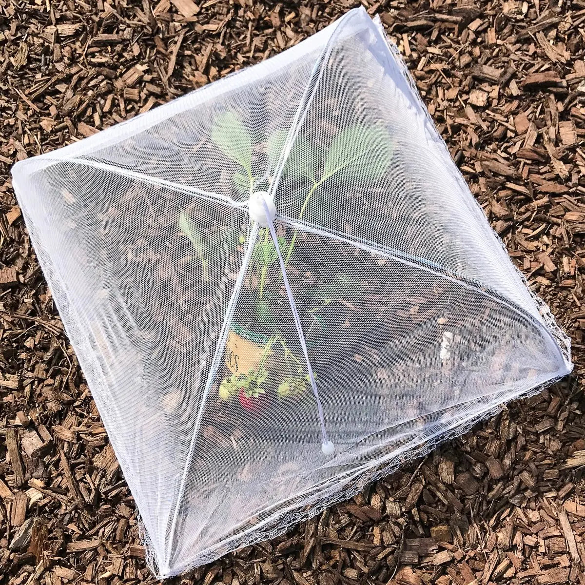 Pop-Up Outdoor Food Protectors