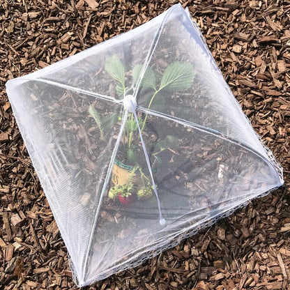Pop-Up Outdoor Food Protectors
