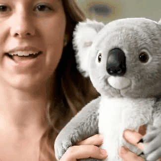 Koaly Comfort Companion